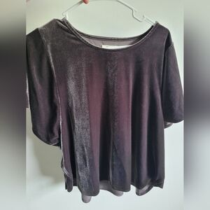 Madewell (j crew) women XL crushed velvet like top